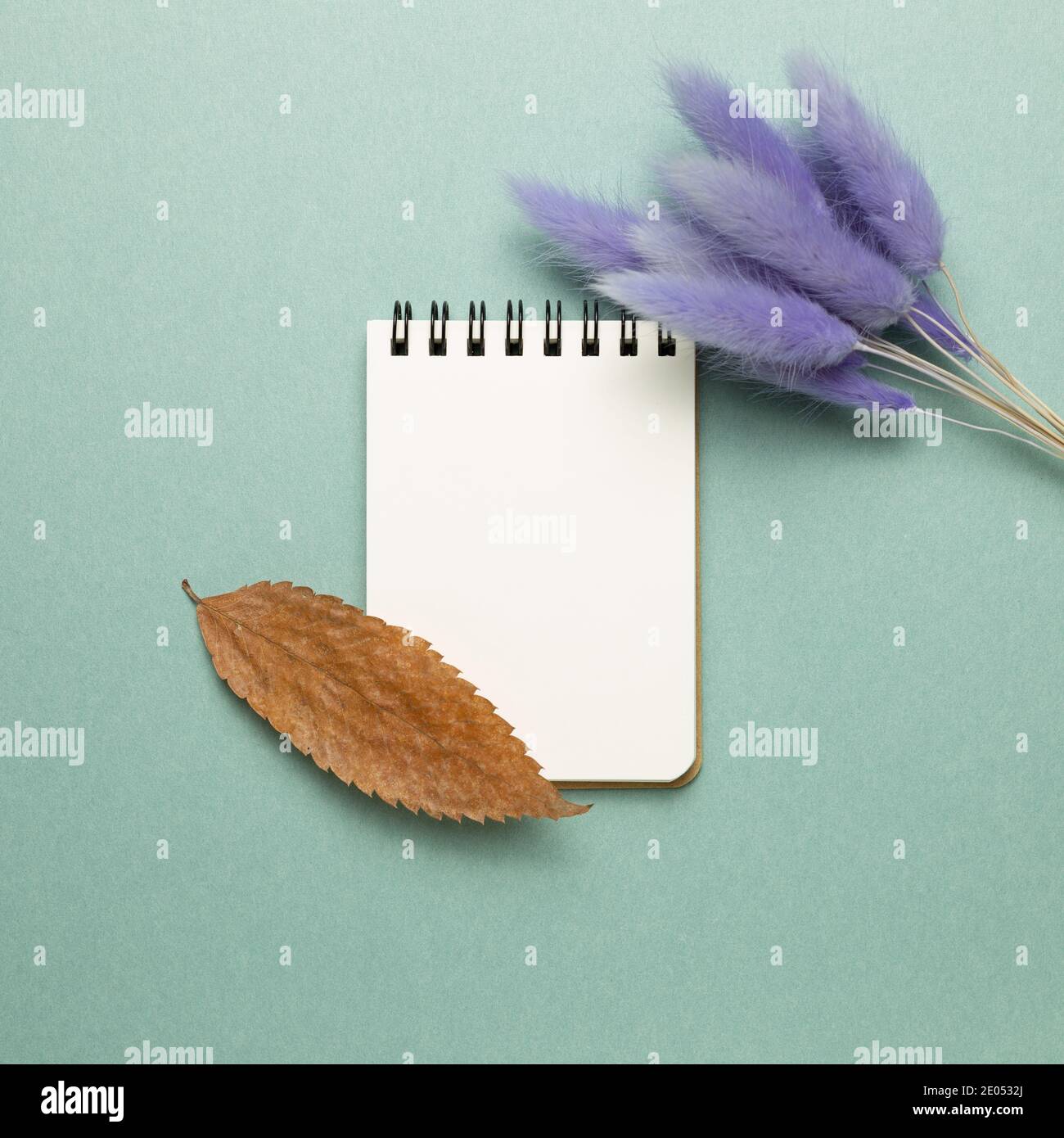 Empty notebook with tail grass, dry leaf on green background. top view, copy space Stock Photo