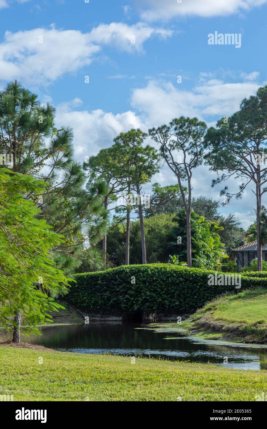 An ivy covered bridge on the Fox Club Golf Course in the Cobblestone