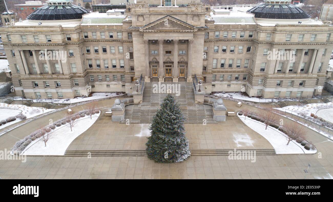 view from above the capital of their christmas tree Stock Photo