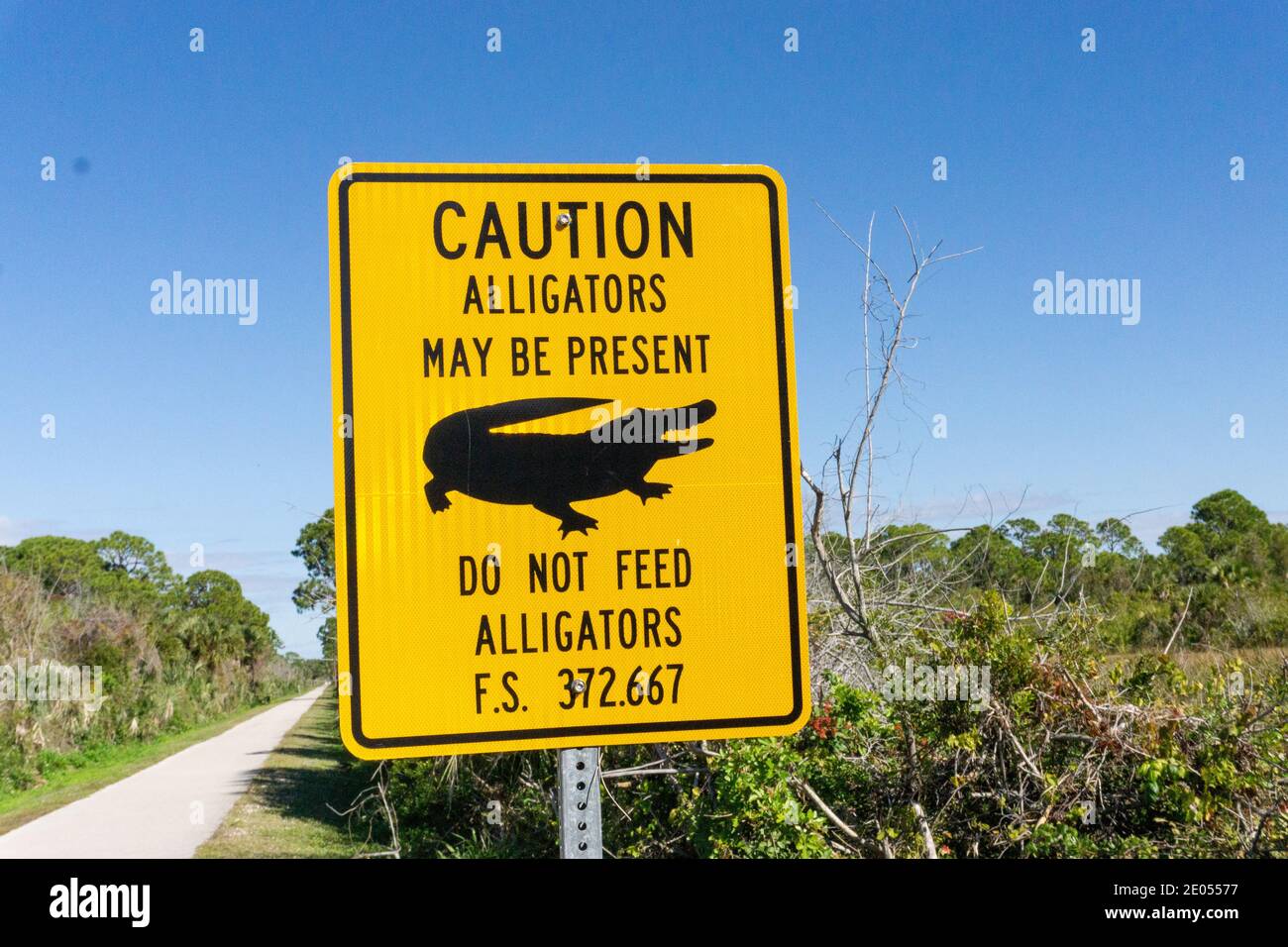 Florida alligator warning sign Stock Photo