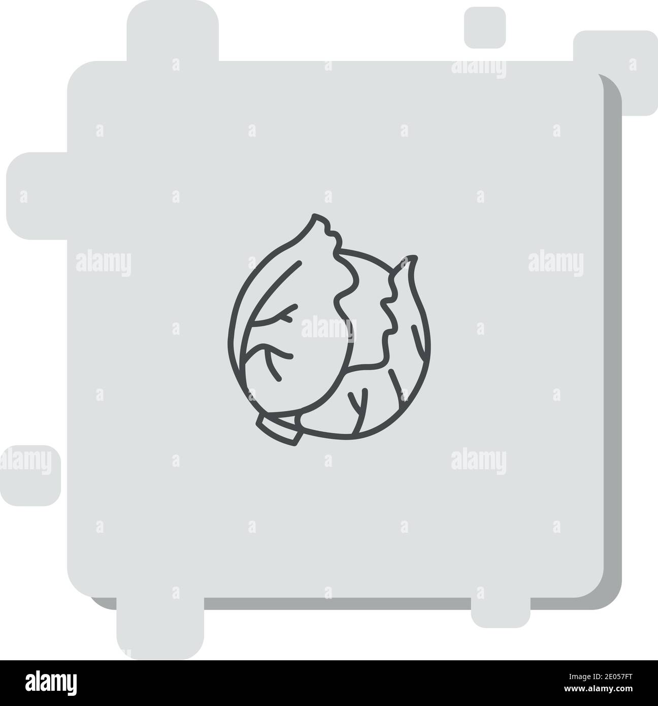 cabbage vector icon modern simple vector illustration Stock Vector