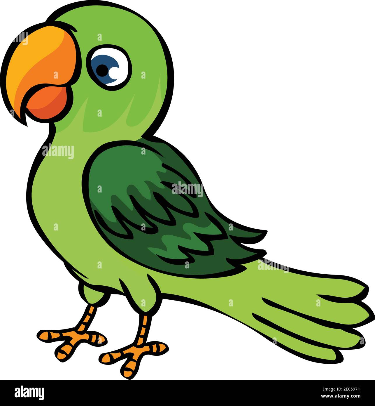 Cartoon parrot isolated on white background stock illustration Stock Vector  Image & Art - Alamy