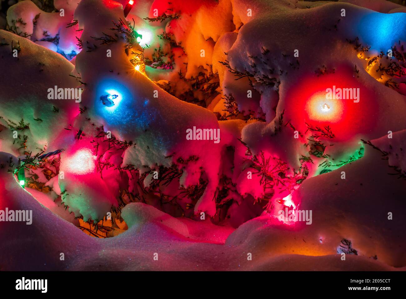 Close up texture background of colorful exterior holiday lights on top