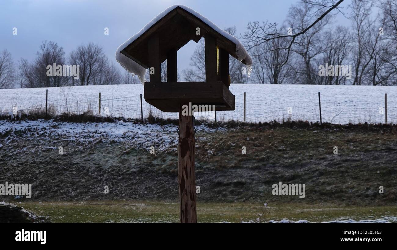Silhouette of a bird feeder in a night snowy landscape Stock Photo