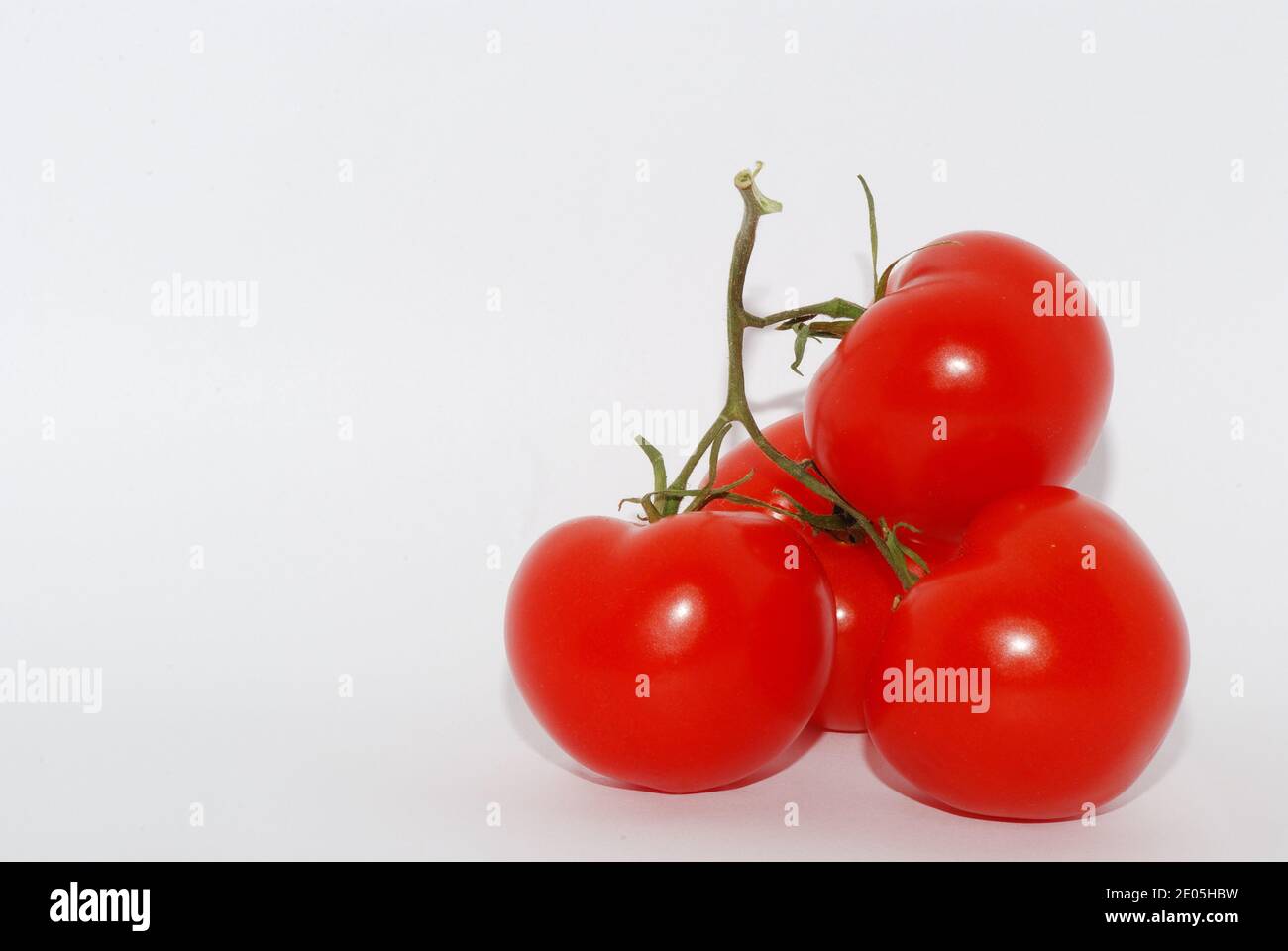 fresh red tomato with lots of water drops on white background right ...