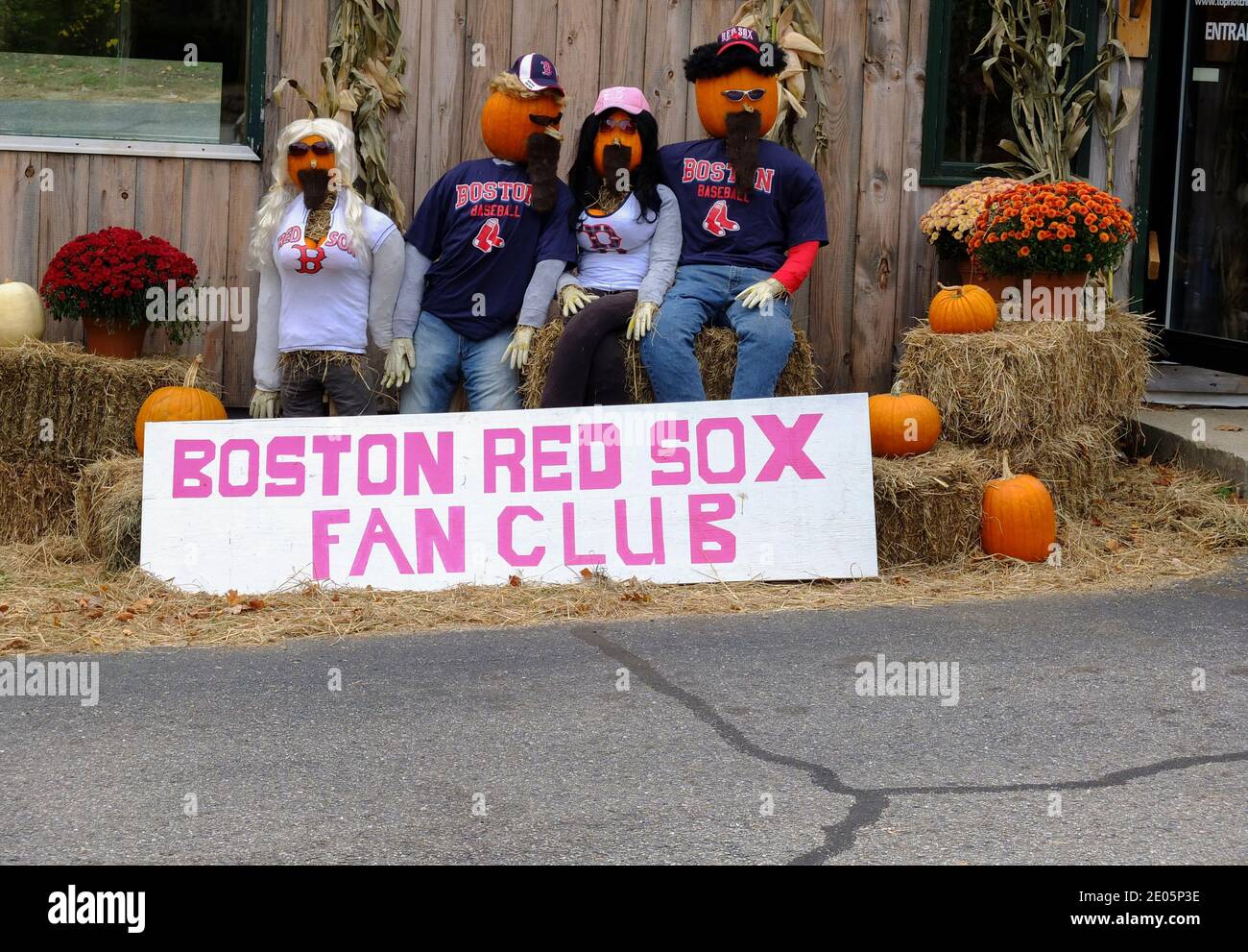 Boston red sox fan hi-res stock photography and images - Alamy