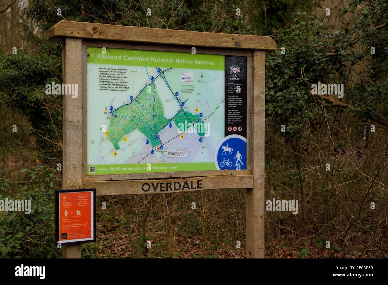 Ashtead common walk hires stock photography and images Alamy