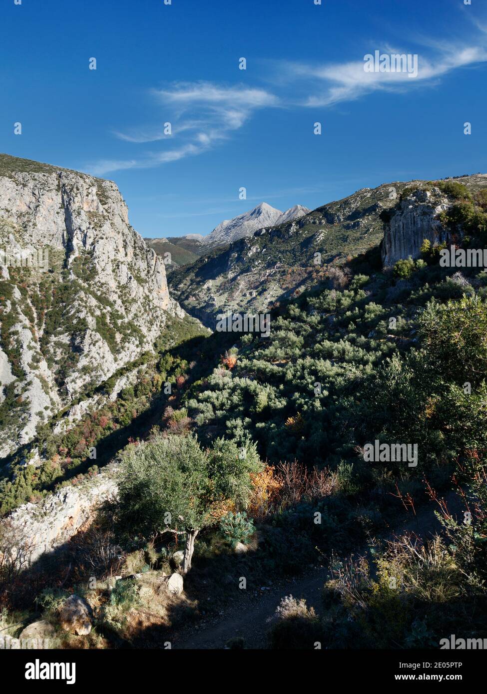 View along the Rindomo Gorge from the village of Vorio in Messinia of Greece Stock Photo