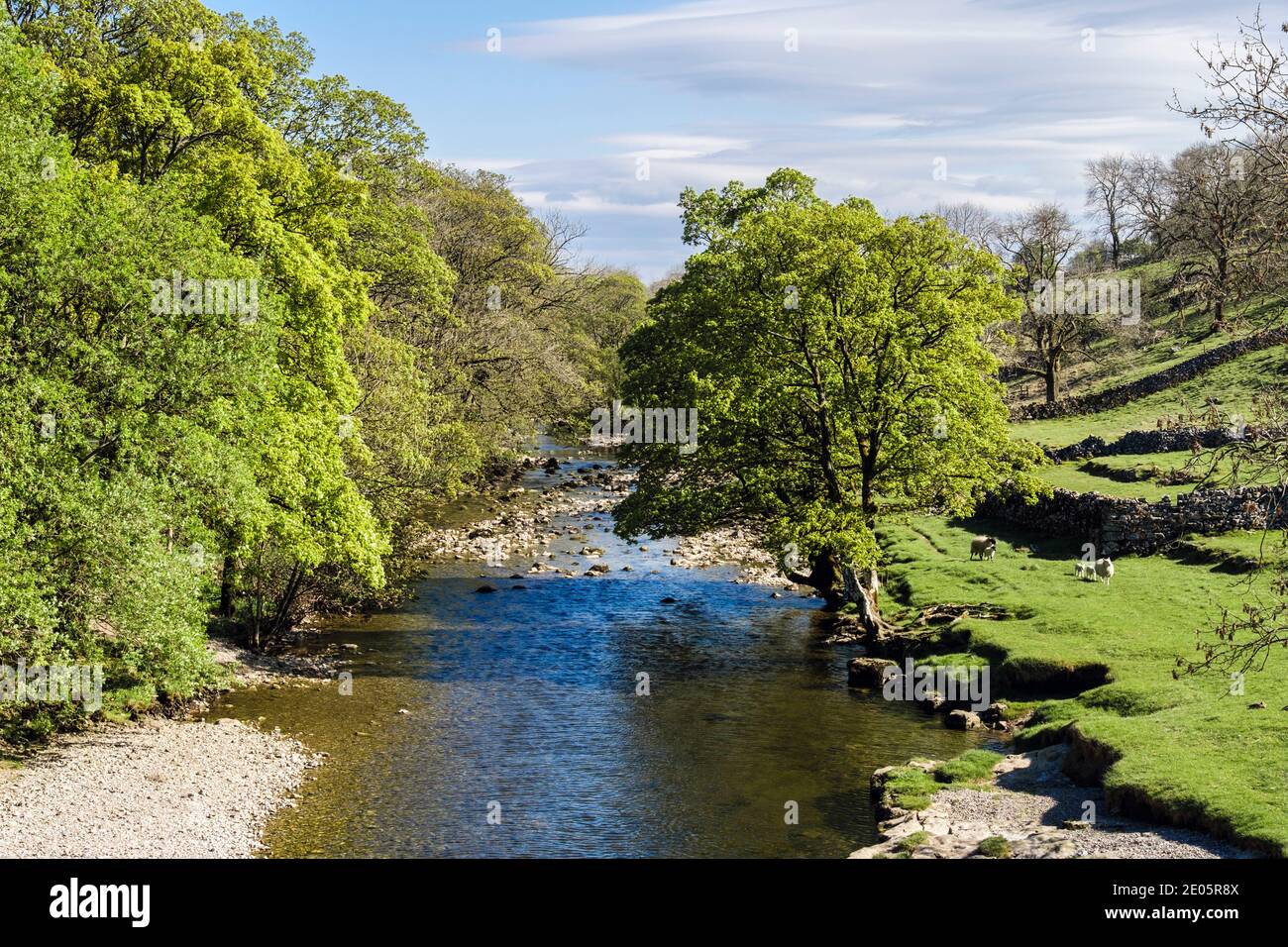 View along River Wharfe in spring / summer. Kettlewell, Upper Wharfedale, Yorkshire Dales National Park, North Yorkshire, England, UK, Britain Stock Photo