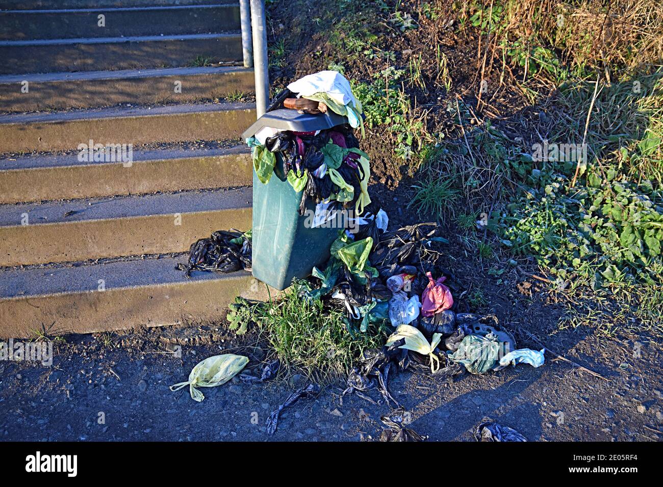 Public bin overflowing with dog poo bags on Fife Coastal Path near