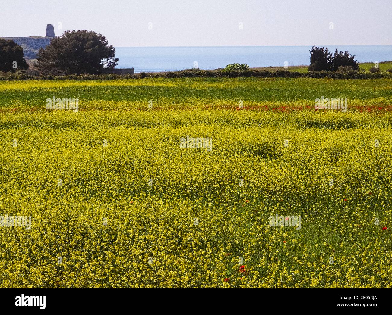 Italy Apulia Salento Coast between Otranto and Porto Badisco - in Background The Tower San Emiliano Stock Photo