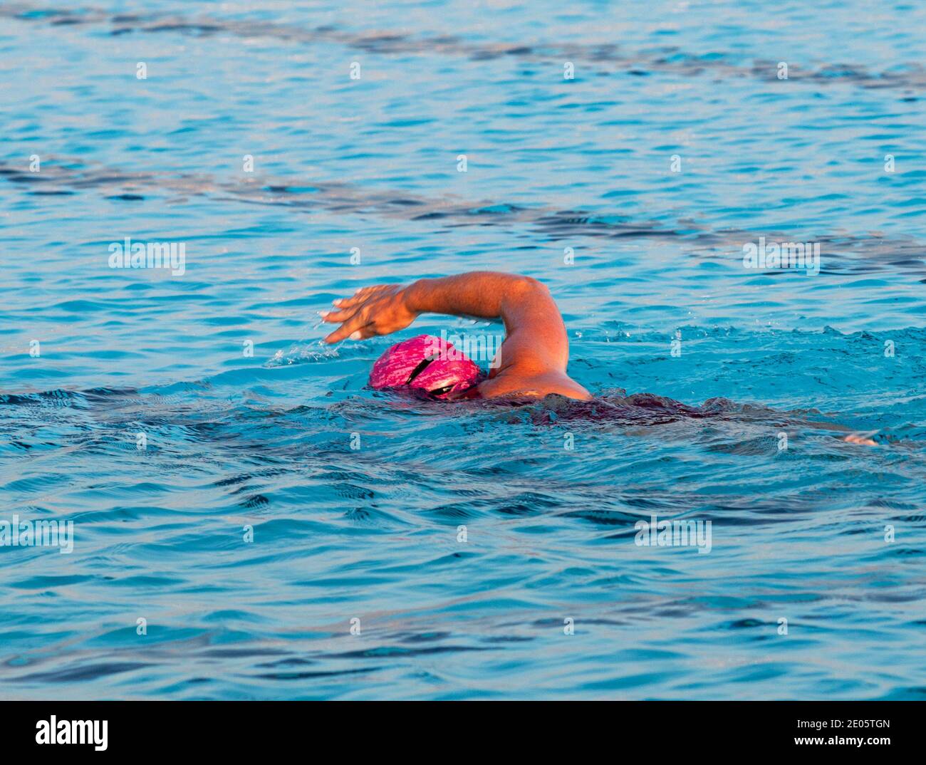 A female wearing a pink swim cap swimming in a pool alone. Stock Photo