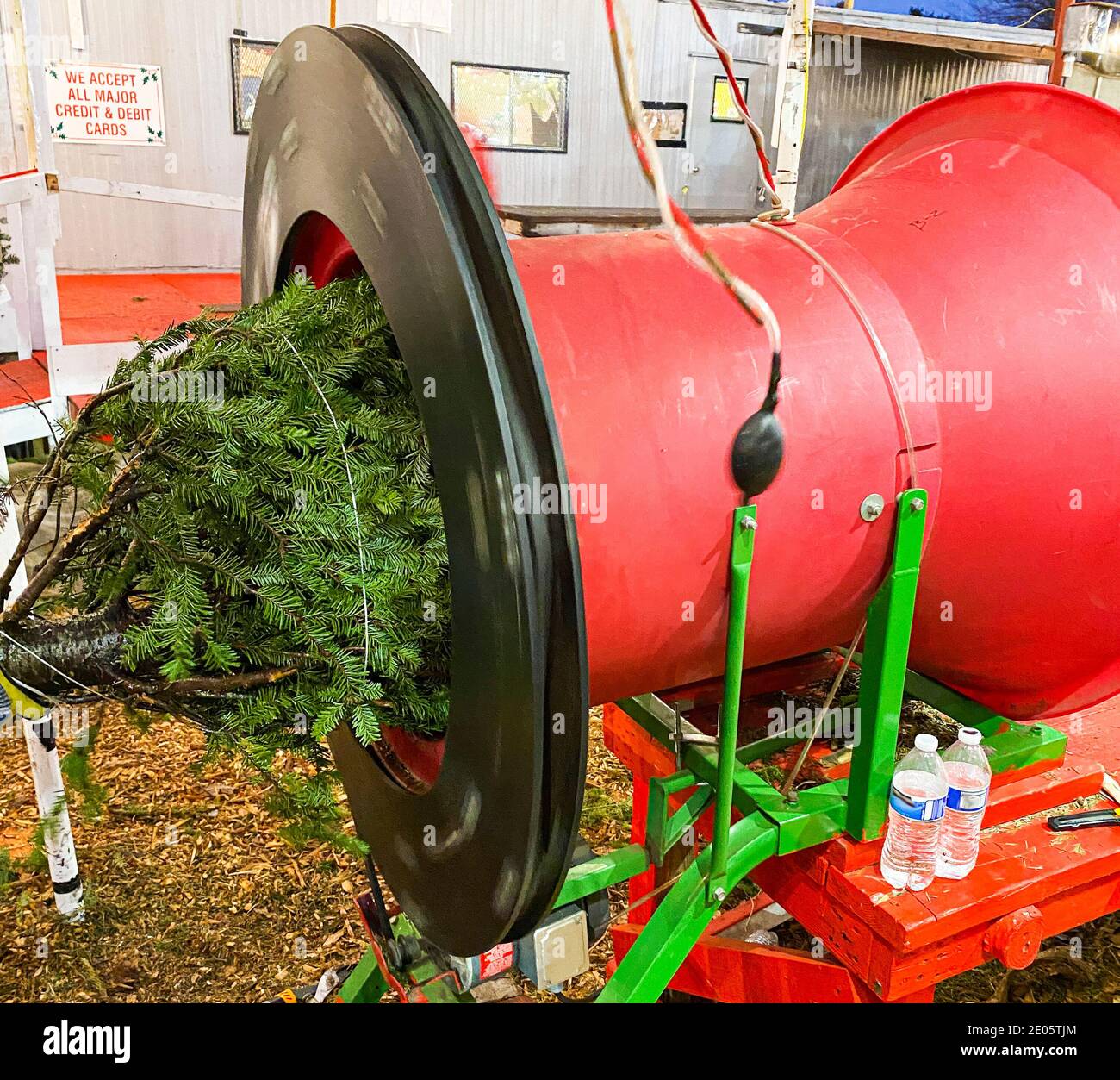 Side view of a recently purchased Christmas tree going through a red
