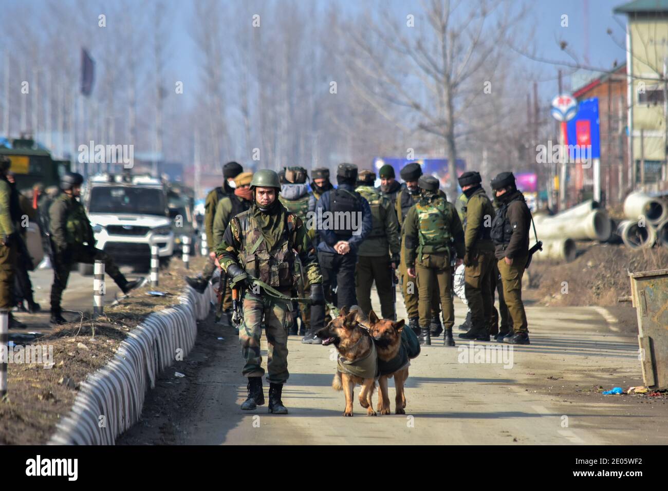 An Indian army soldier walks with sniffer dogs as he returns from the gun battle site on the outskirts of Srinagar. Three militants were killed in an overnight gun battle with government forces in Lawaypora area of Srinagar. The militants killed were planning a big strike on the Srinagar-Muzaffarabad highway, an official said. Stock Photo
