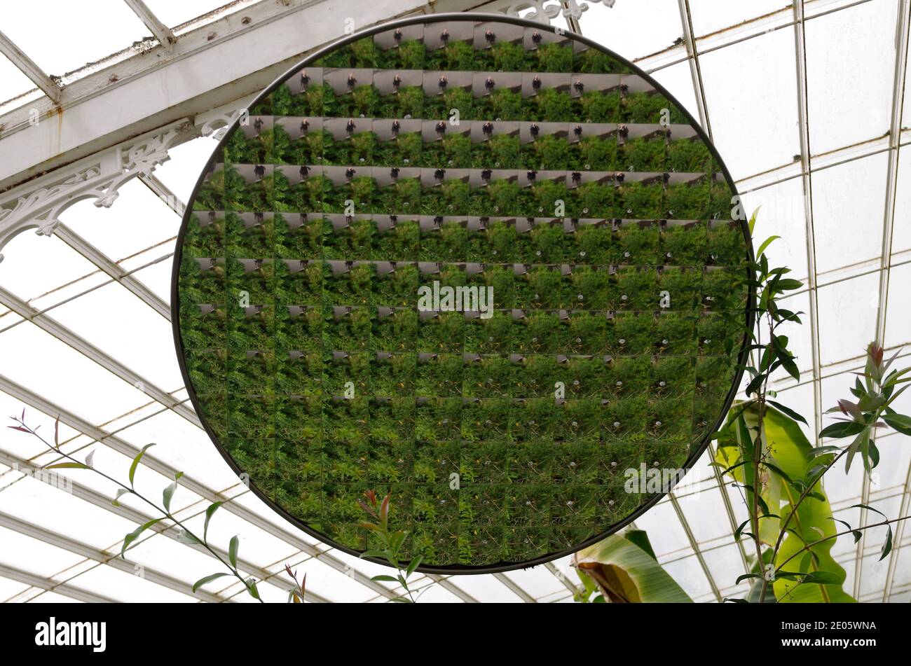 A reflective multi-facet mirror in the restored Kibble Palace Glasgow Botanic Garden Stock Photo