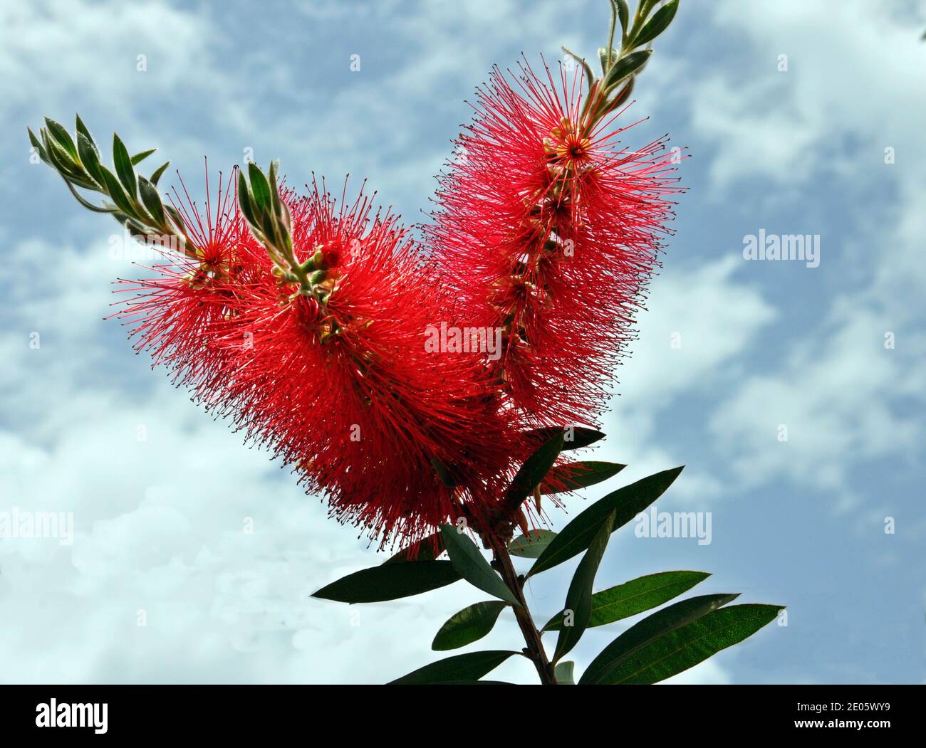 Page 3 Crimson Sky High Resolution Stock Photography And Images Alamy