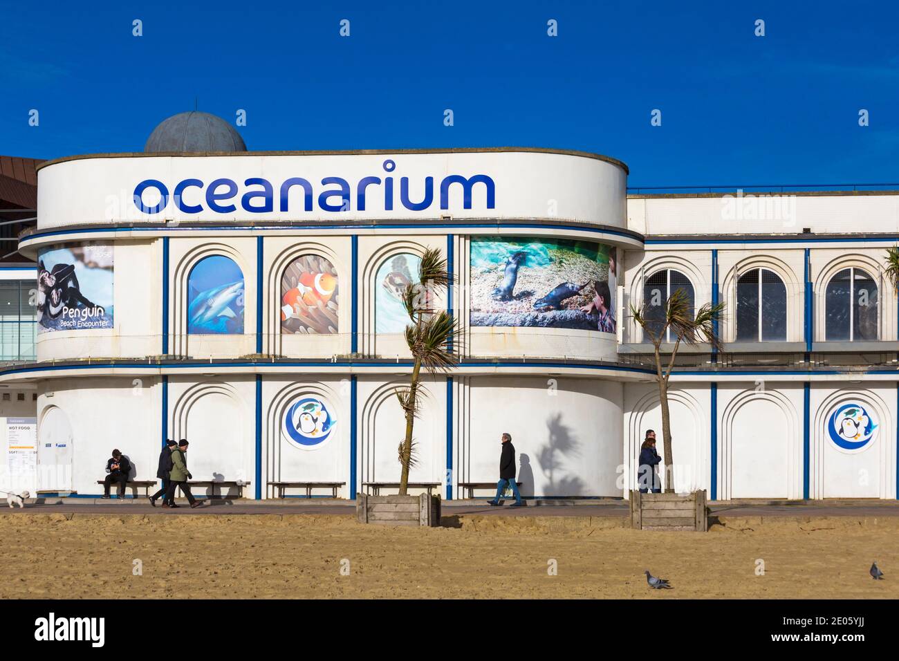 Oceanarium bournemouth aquarium bournemouth dorset hires stock