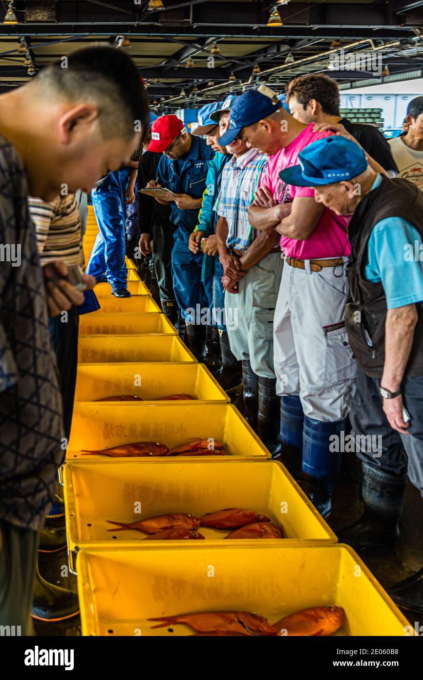 Kinmedai (golden eye snapper) on Fish Auction in Yaidu, Japan Stock Photo