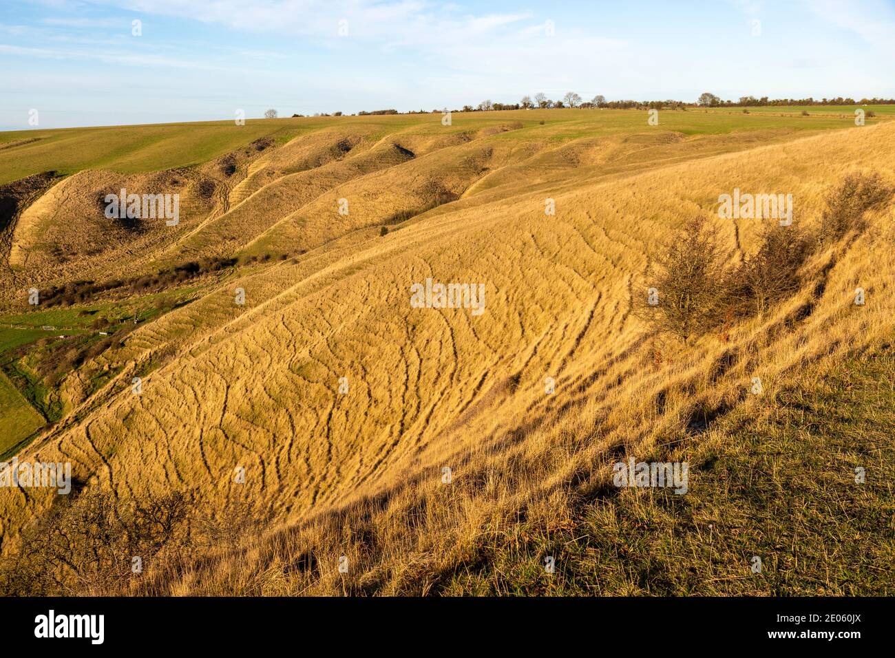 Ridges and dry valleys chalk scarp slope on Roundway Down, Wiltshire, England, UK Stock Photo