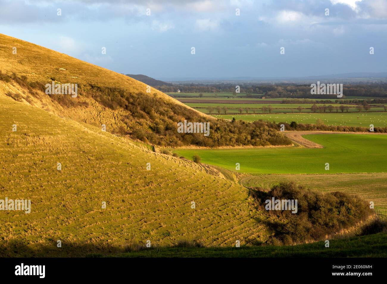 England scarp escarpment chalk hires stock photography and images Alamy