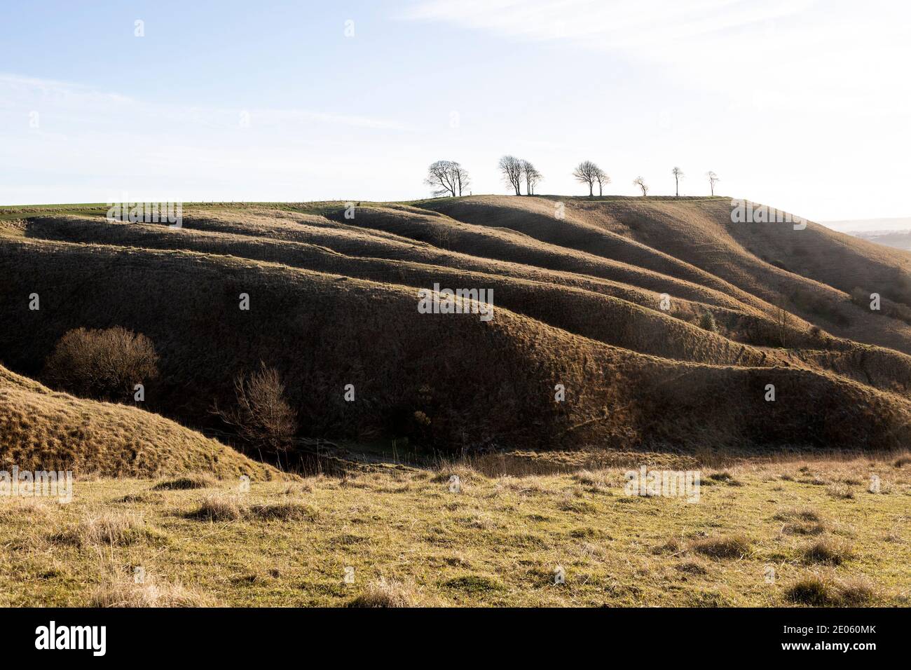 Ridges and dry valleys chalk scarp slope view to Oliver's Castle hill fort, Roundway Down, Wiltshire, England, UK Stock Photo