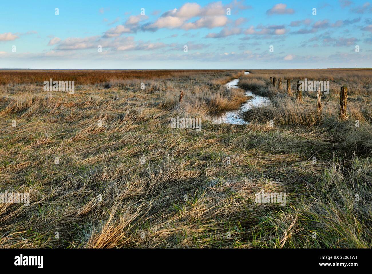 A salt marsh in the Lower Saxony Wadden Sea, Germany. The fences and the moat are characteristic of the salt marshes on the North Sea. Stock Photo