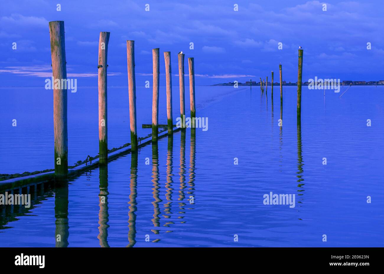 A windless evening on the North Sea, Germany. The wooden posts lead the view across the water to the small East Frisian island of Baltrum. Stock Photo