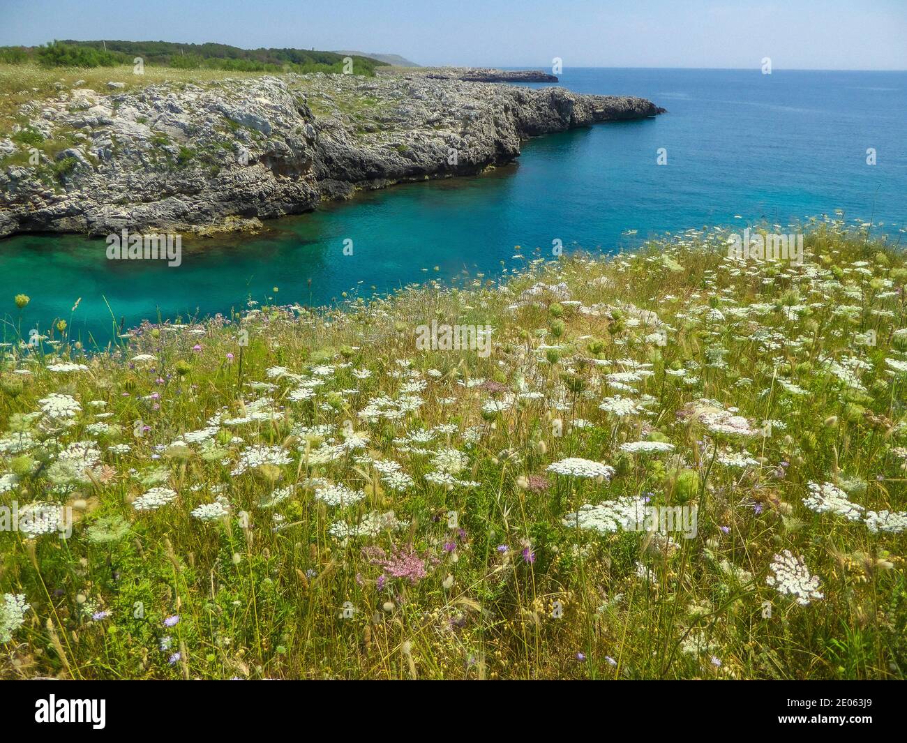 Italy Apulia Salento Coast between Porto Badisco and Santa Cesarea Terme Stock Photo