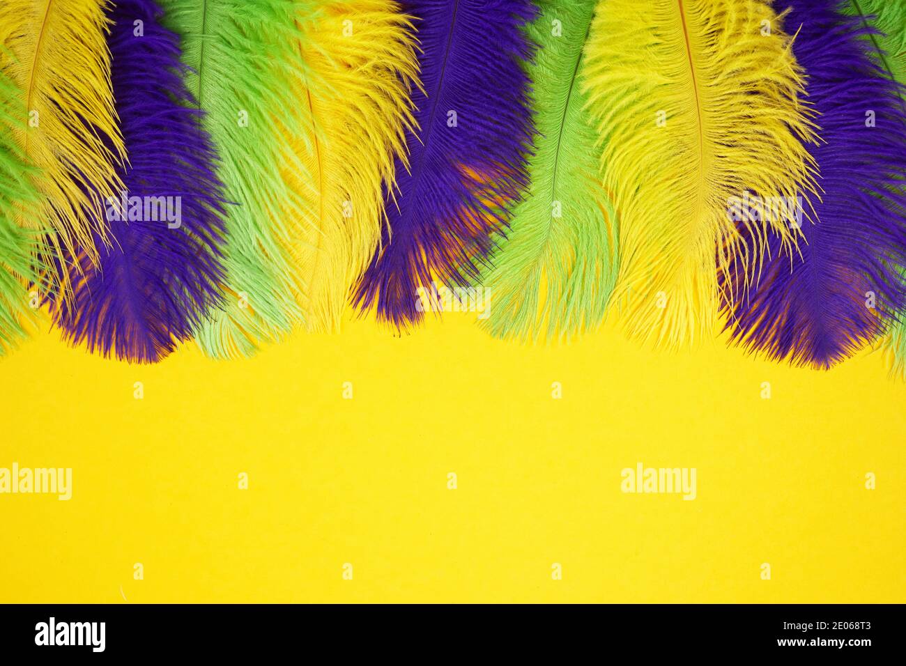 Card With Feathers In Mardi Gras Colors Stock Illustration - Download Image  Now - Mardi Gras, Feather, Carnival - Celebration Event - iStock