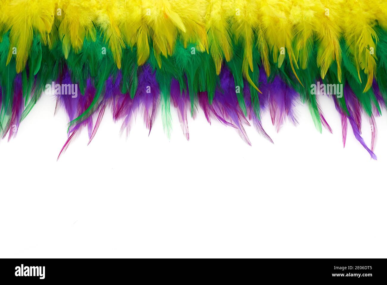 Mardi gras color feathers background. Nature patern Stock Photo Alamy