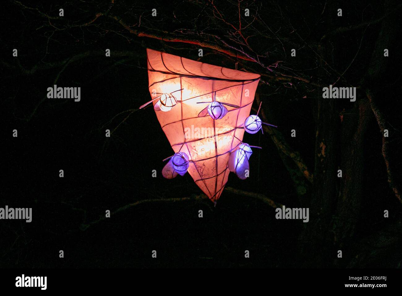 December 29, 2020: Haywards Heath, UK. 29 December 2020. Christmas light trail 'Glow Wild 2020'' livens up this year's festivities at Wakehurst Place Botanic Gardens, in West Sussex. In the evening the trail lights up and brings to life Wakehurst botanic gardens and its 16th century mansion with its enchanting atmosphere created by glowing lanterns, torches of fire, and enthralling projections. Now in its seventh year, 'Glow Wild'' has gone ahead this year despite the pandemic, by maintaining rigorous safety protocols in line with the latest government guidance on illuminated trails. A n Stock Photo