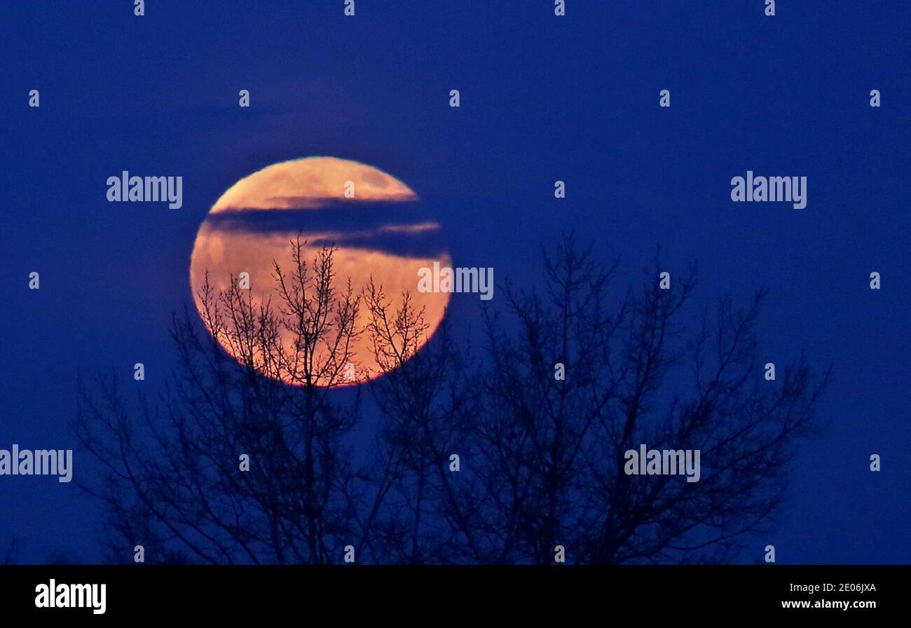 30 December Bavaria Bad Worishofen The Rising Full Moon Glows Behind Trees In The Evening Sky Photo Karl Josef Hildenbrand Dpa Stock Photo Alamy 30 December Bavaria Bad Worishofen The Rising Full Moon Glows Behind Trees In The Evening Sky Photo Karl Josef Hildenbrand Dpa Stock Photo Alamy