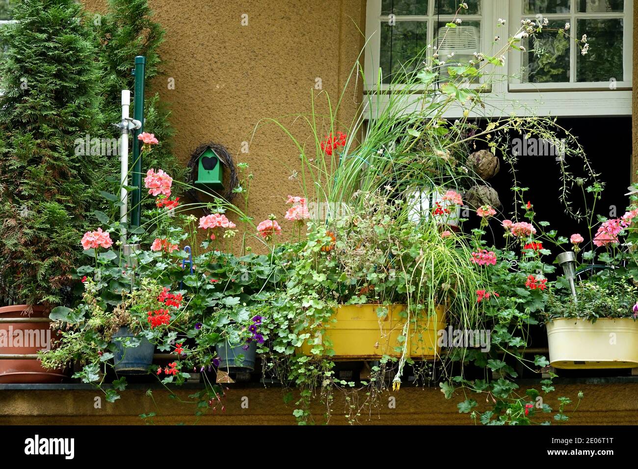 Plants Balcony garden Balcony Pots Plants Growing In pots, Containers Flowers Gardening Plants balcony Container Germany Berlin Stock Photo