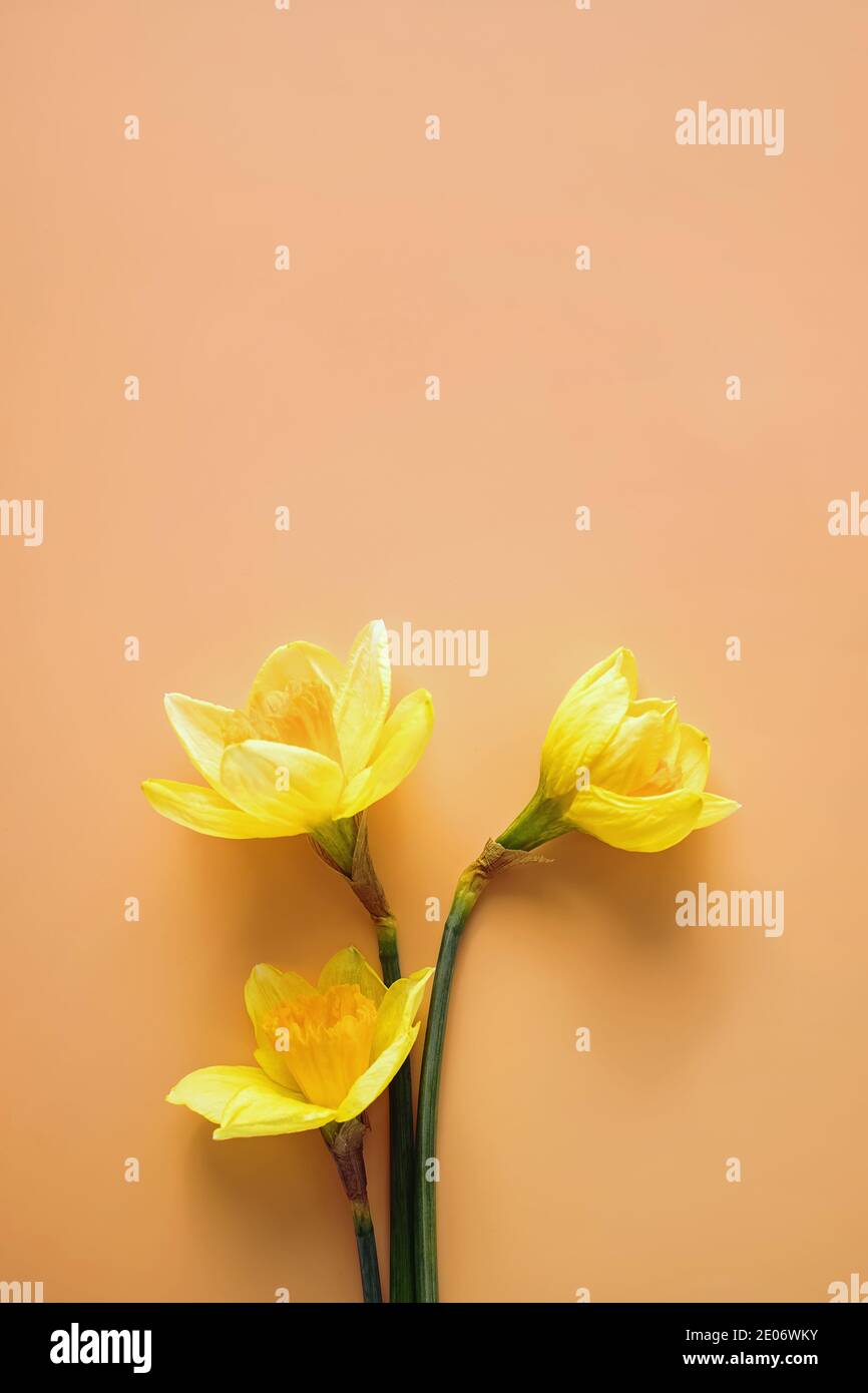 Beautiful spring bouquet yellow hi-res stock photography and images - Alamy