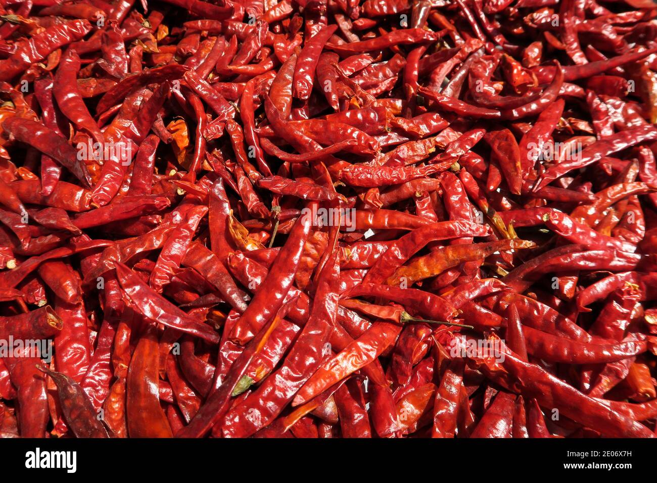 Chilli peppers drying in the sun, Bangkok, Thailand Stock Photo