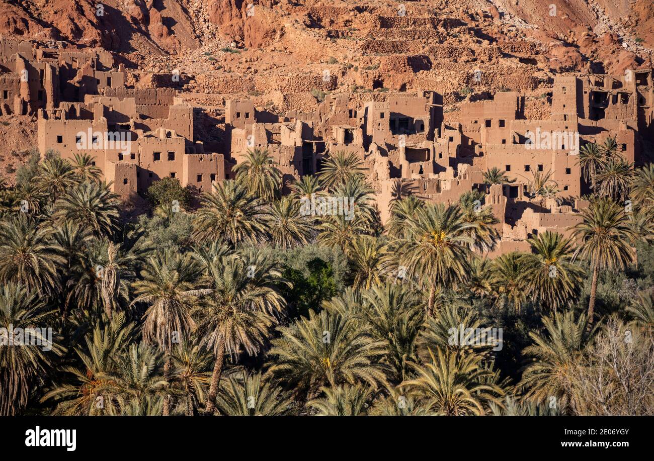 Haut Atlas, Morocco. 23th Feb, 2020. Village of mud houses with palm trees in Dadès valley on February 23, 2020 in Haut Atlas, Morocco. Stock Photo