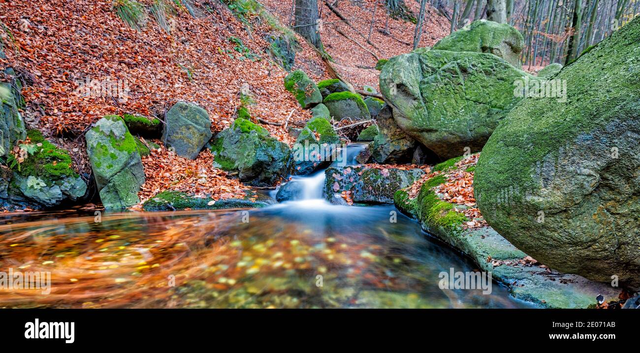kleiner Bach im Harz Stock Photo Alamy