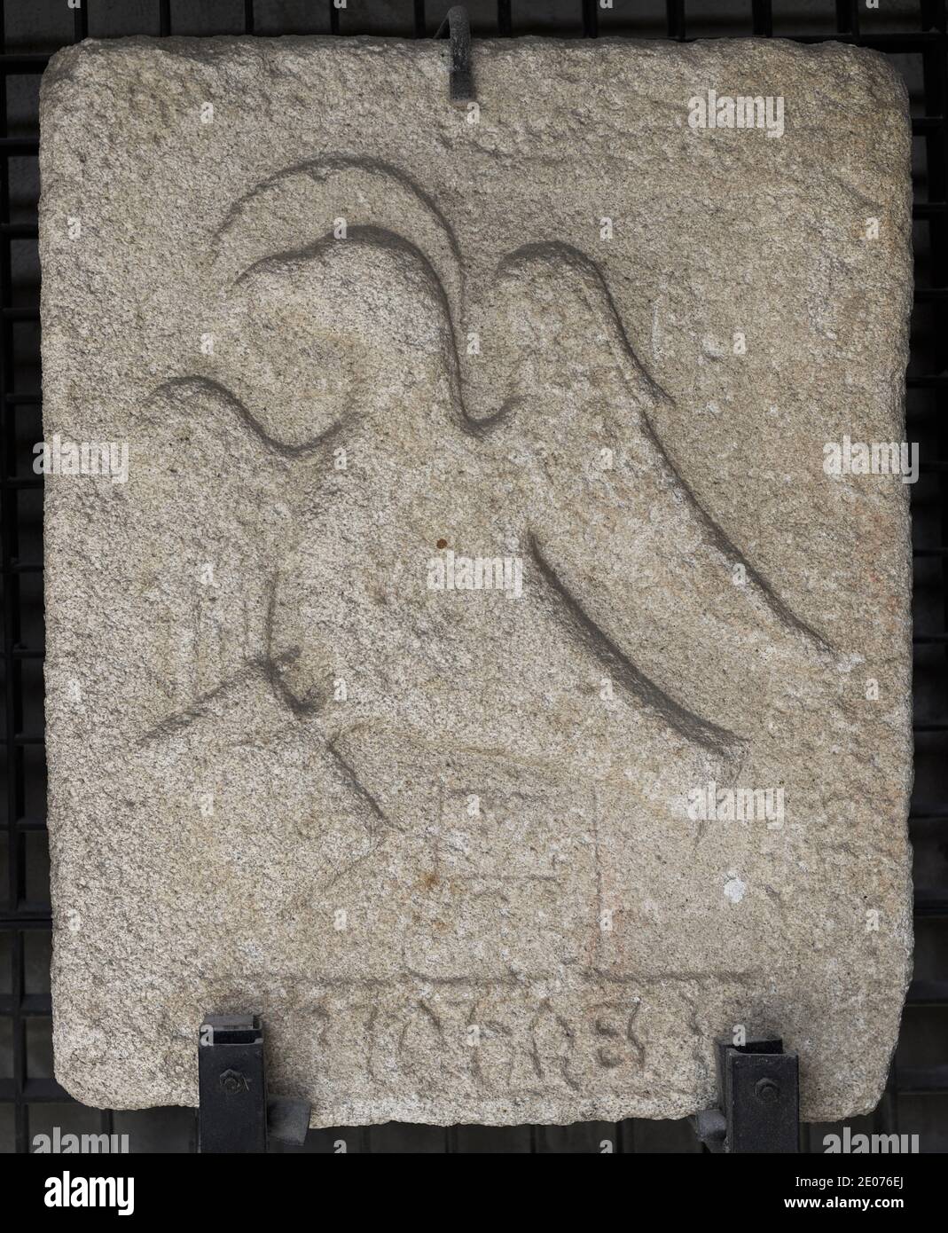 Stone slab showing a haloed eagle symbolizing Saint John (Tetramorph). 1475-1525. Probably from the Church of Santo Domingo or the Church of Santo Tomás (La Coruña, Galicia, Spain). Archaeological and History Museum (San Anton Castle). A Coruña, Galicia, Spain. Stock Photo