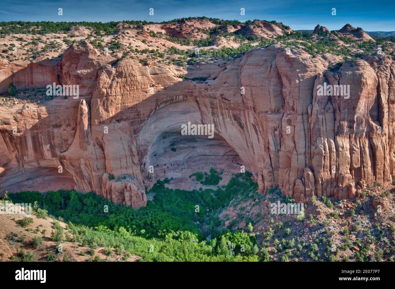 Betatakin ruin in Tsegi Canyon, view from Sandal Trail, Navajo National Monument, Shonto Plateau, Arizona, USA Stock Photo