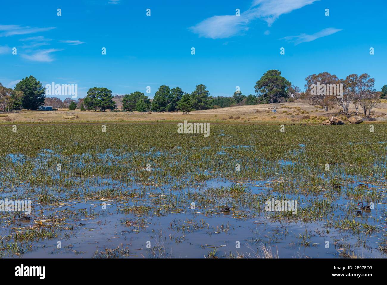 Lake Dulverton at Oatlands, Australia Stock Photo - Alamy