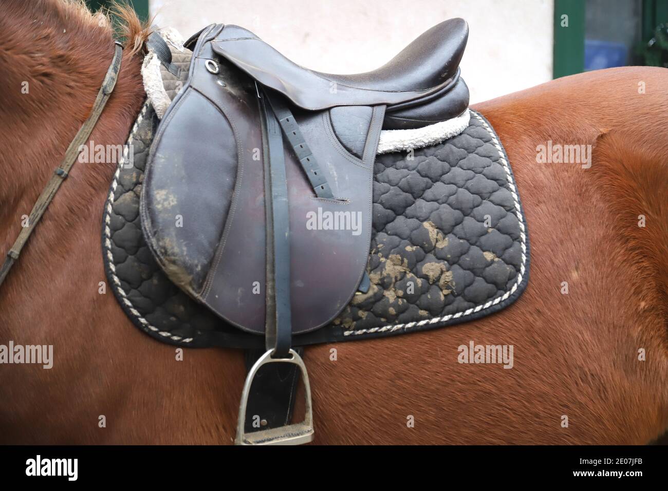 Old leather saddle with stirrups for show jumping race Saddle on a back