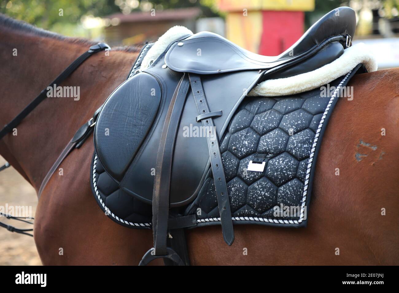 Old leather saddle with stirrups for show jumping race Saddle on a back