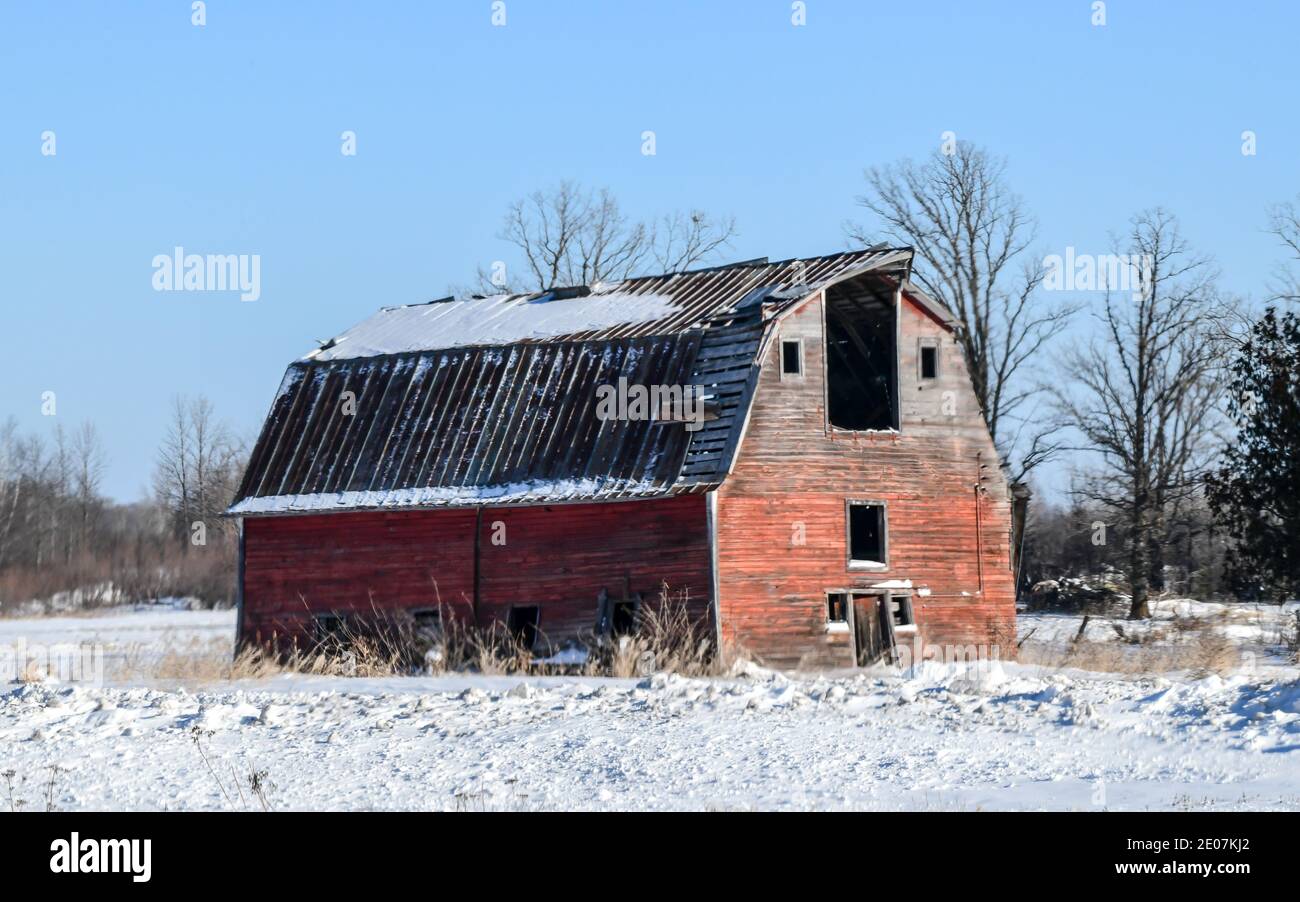 weathered wooden old farm agricultural barn in the winter farmland