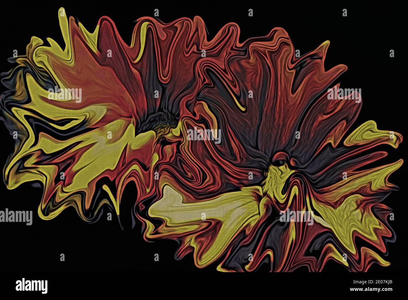Beautiful image of flowers, abstract illustration on a black background ...