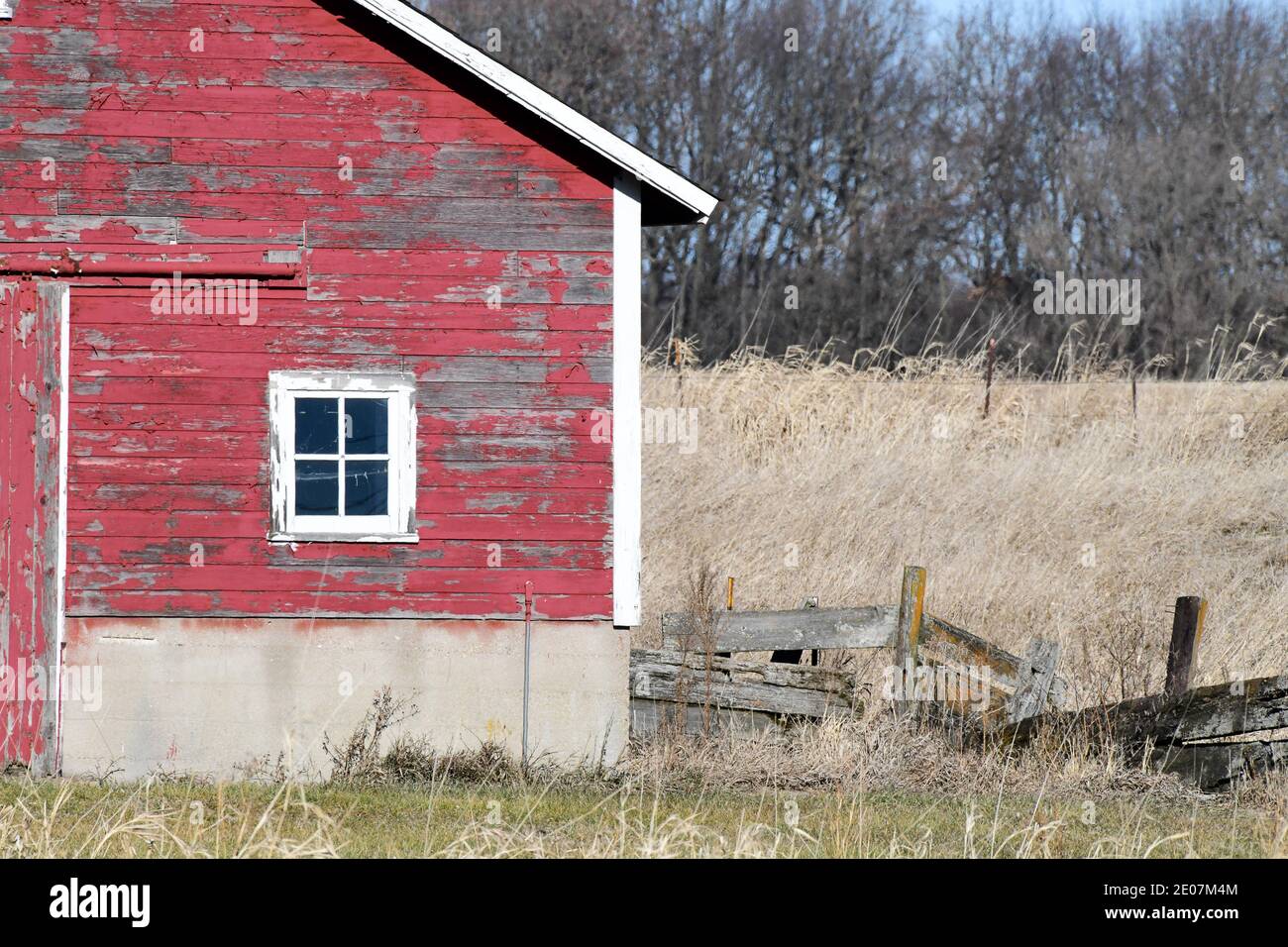 weathered wooden old farm agricultural barn in the winter farmland