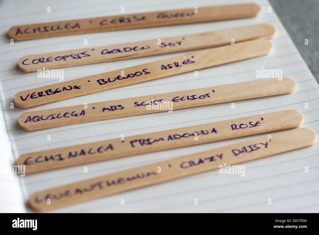 Wooden sticks with handwritten flower names on the sticks sitting on a