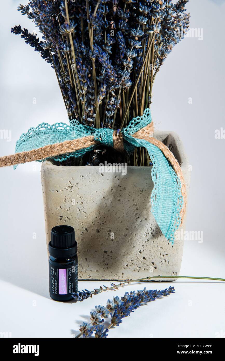 Lavender still life vase hires stock photography and images Alamy