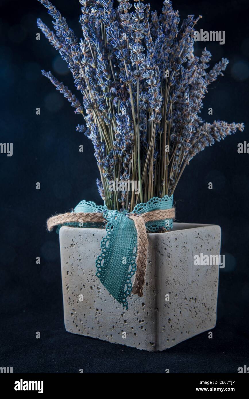 Lavender flowers in a stone vase Stock Photo Alamy
