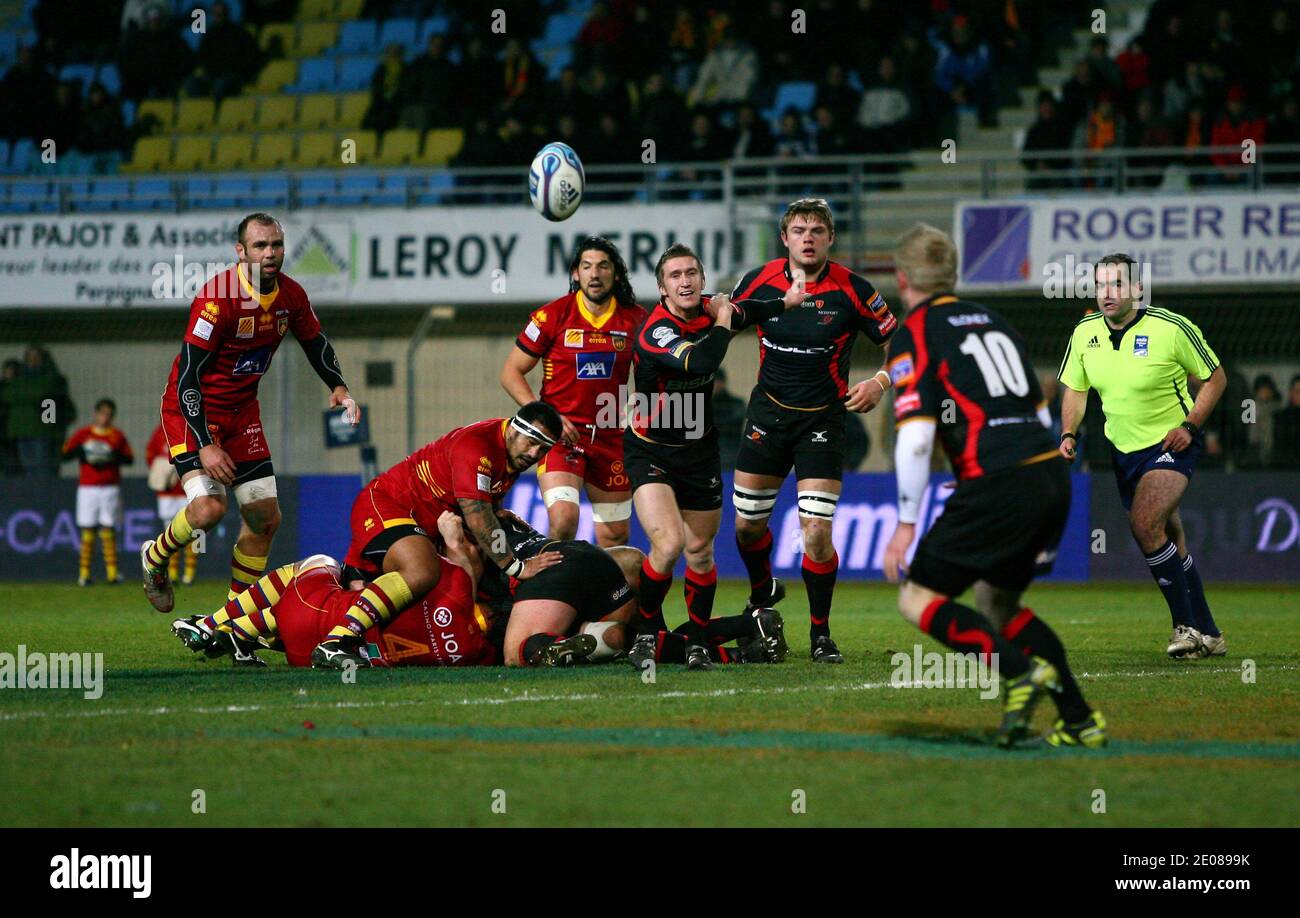 Newport Gwent Dragon's Wayne Evans during the European Amlin Challenge Cup  rugby match, USAP Vs Newport Gwent Dragons at Aime Giral stadium in  Perpignan, south of France on January 14, 20121. USAP