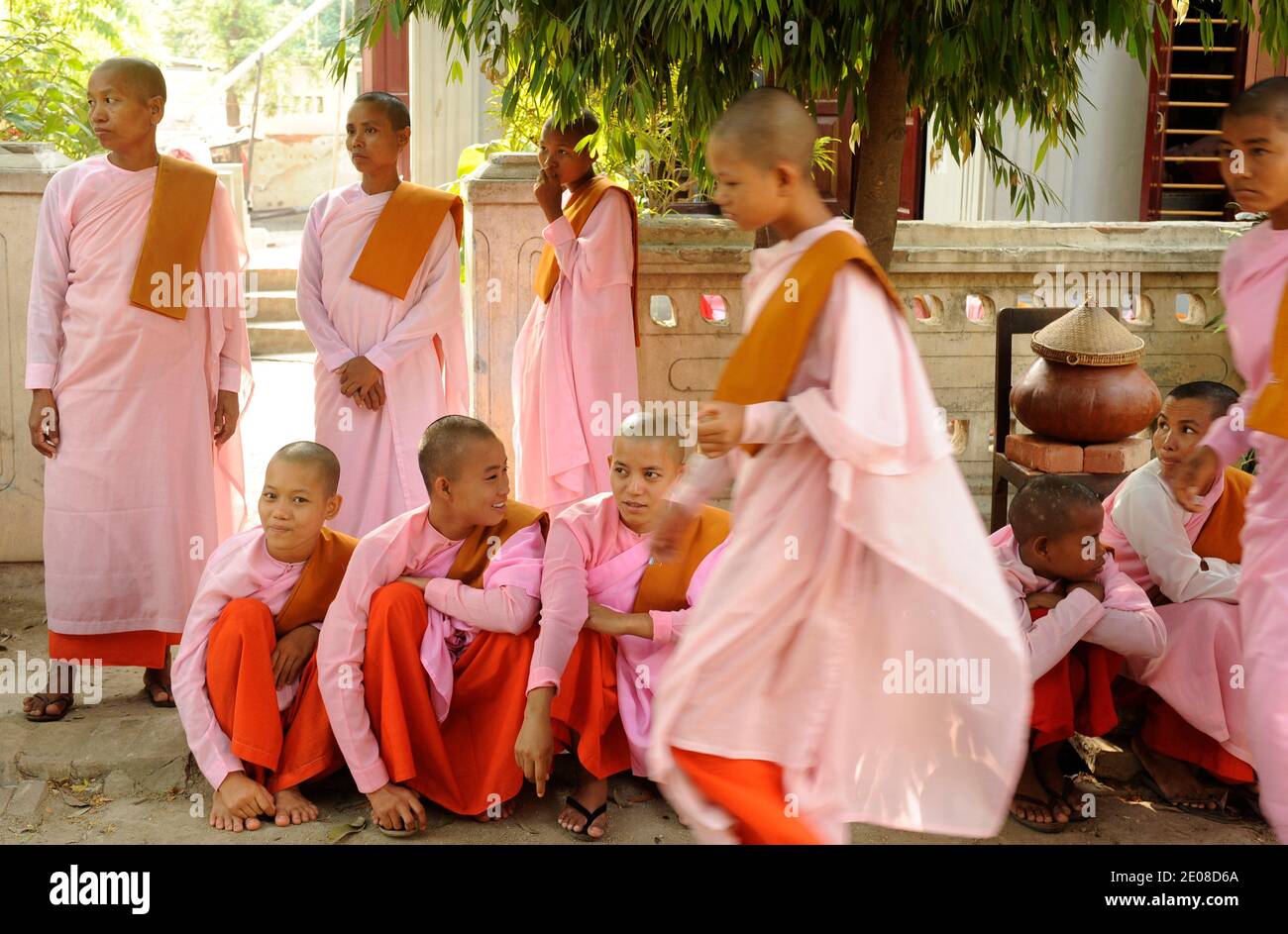 Community of Buddhist nuns in Sagaing, Burma. Communaute des nonnes bouddhistes à Sagaing, Birmanie, 2012.Photo by David Lefranc/ABACAPRESS.COM Stock Photo
